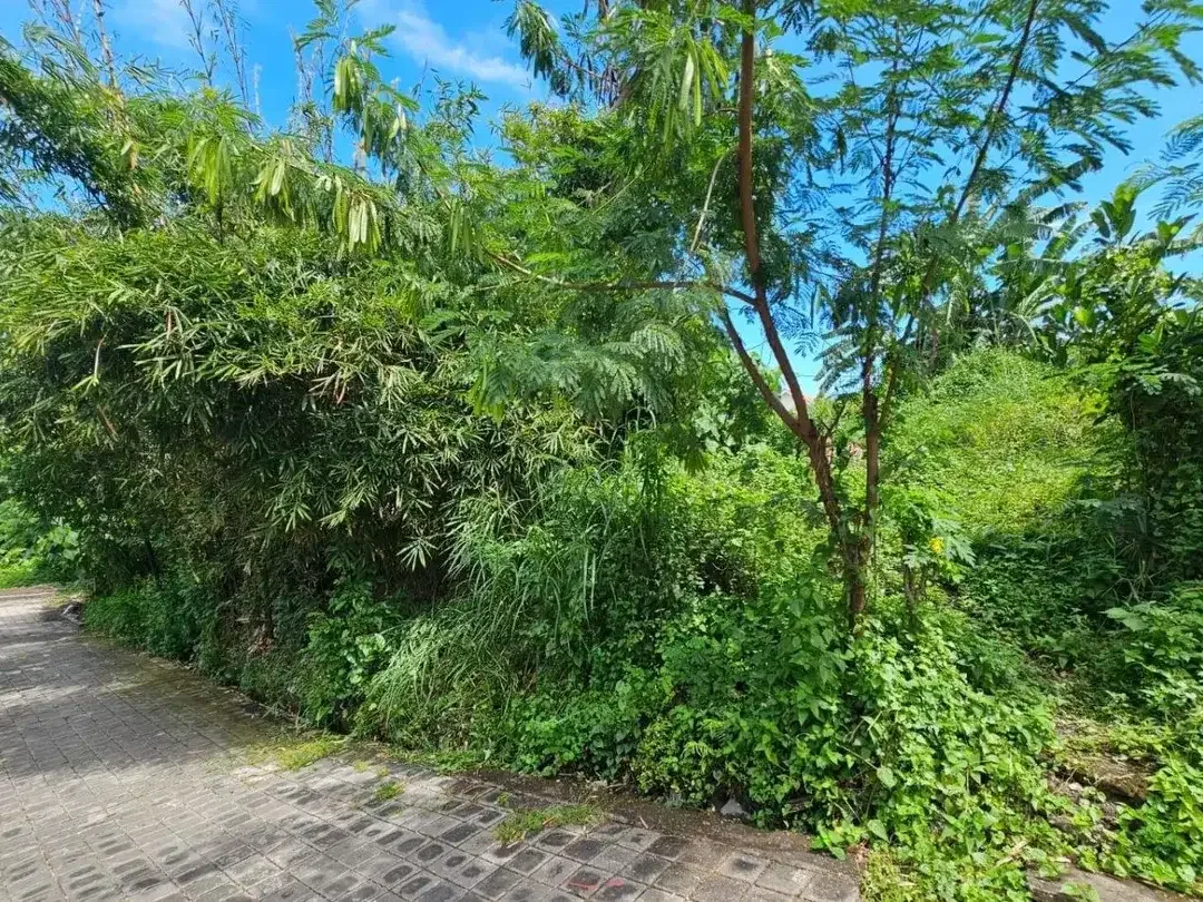 Tanah padang linjong canggu - Image 3 of 8