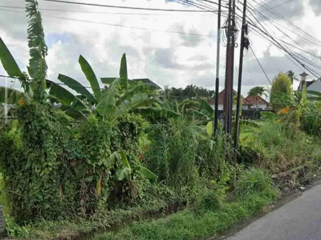 Tanah Komersial 2.650m² Jalan Raya Pantai Nyanyi - Image 3 of 10