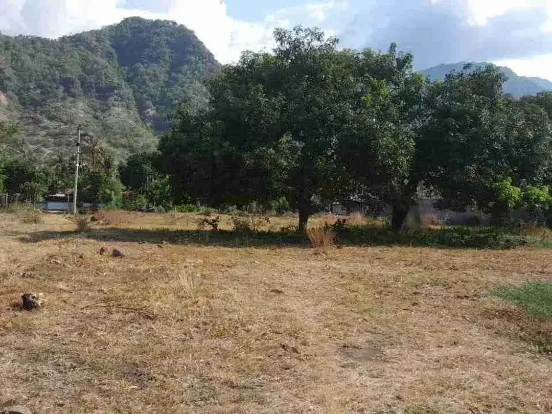 Jual tanah harga miring langsung pantai Singaraja - Image 7 of 9