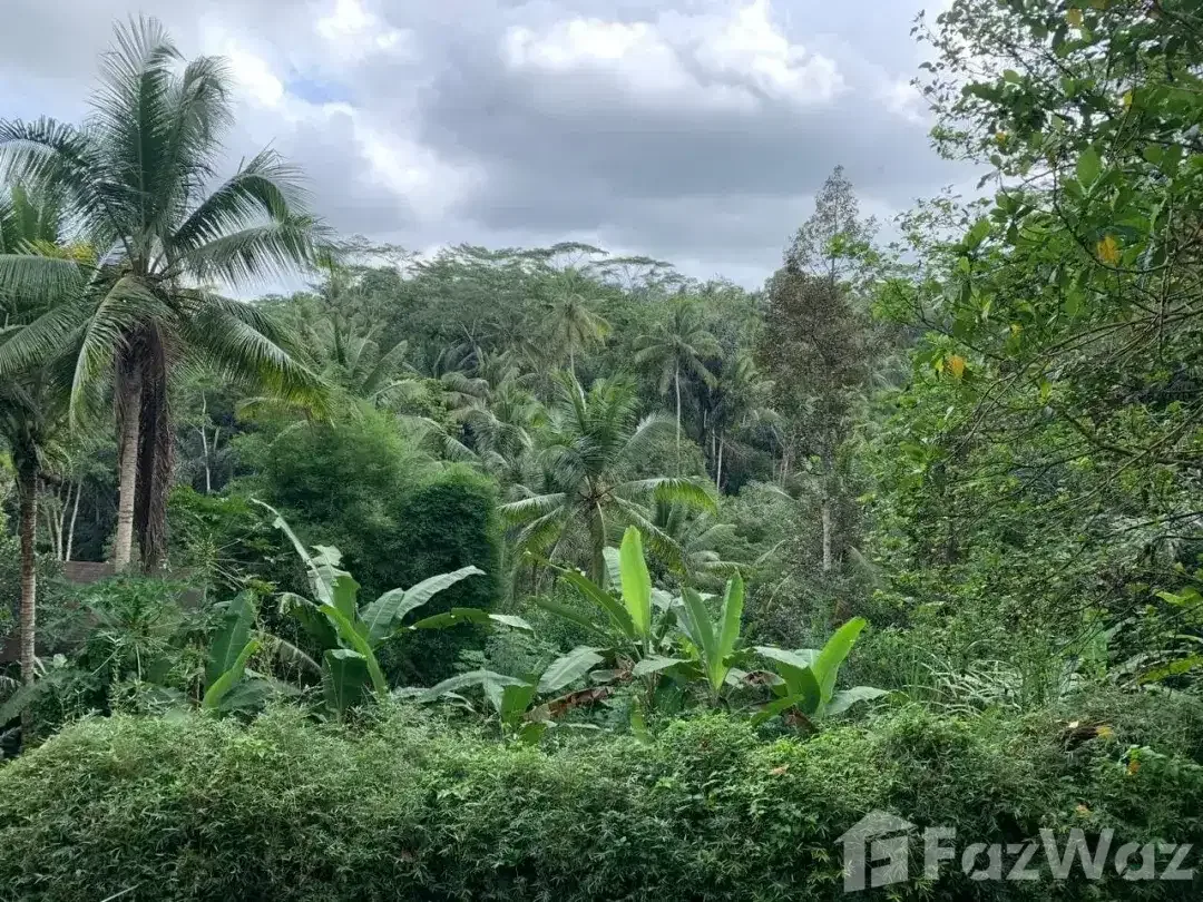 Land for sale in Ubud, Bali - Image 2 of 5
