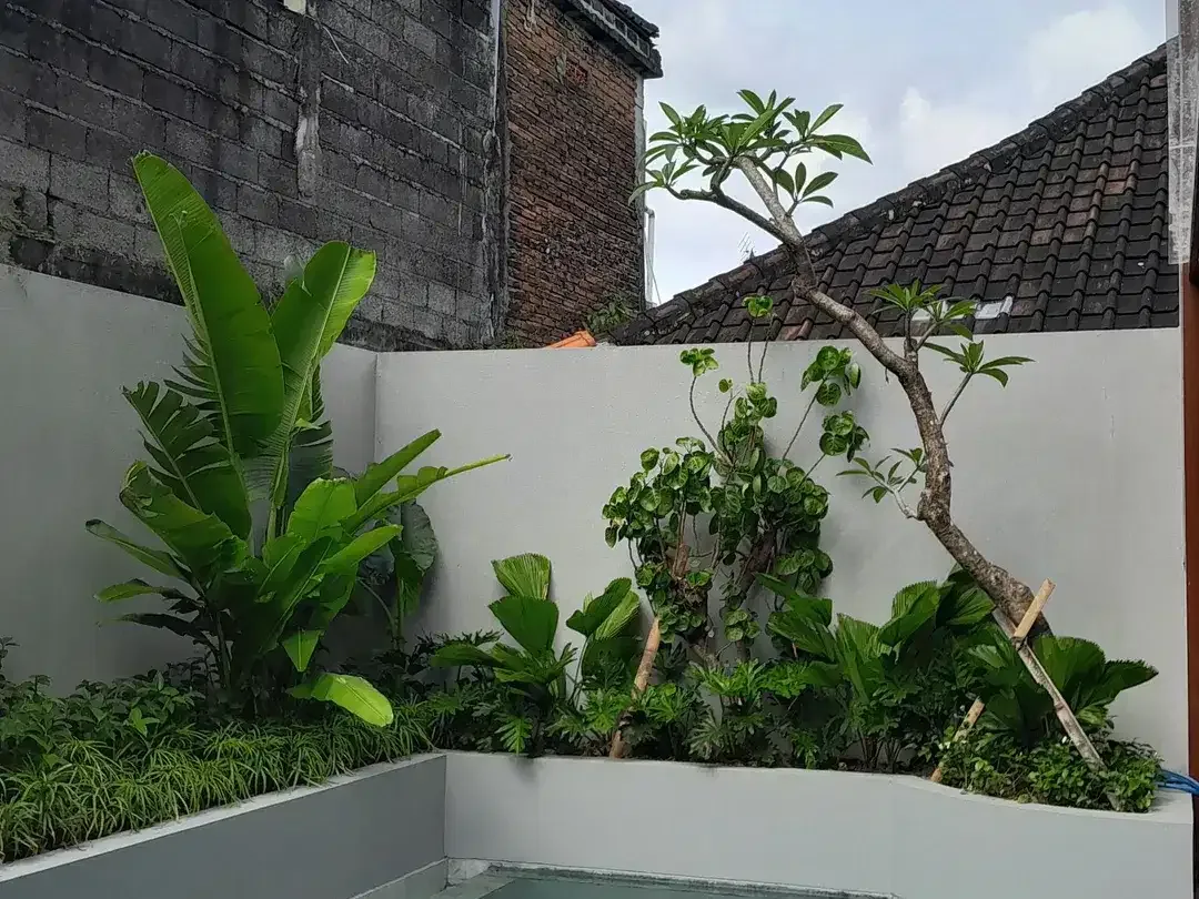3 Bedroom Villa for sale in Denpasar Selata, Bali - Image 6 of 10