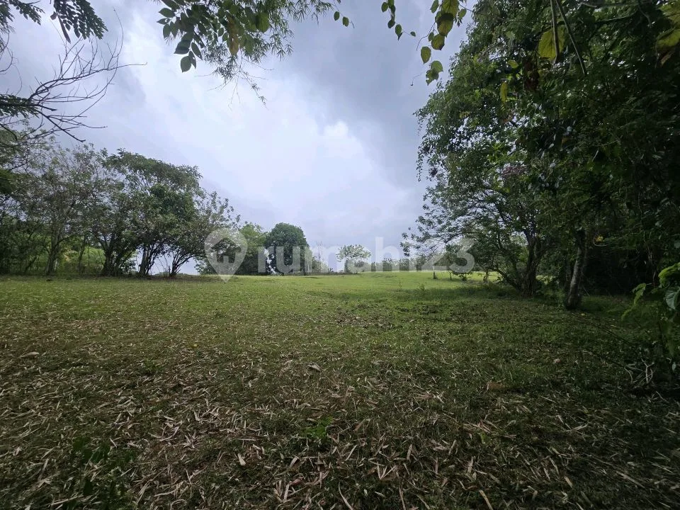 Dijual Tanah Datar Los Sungai Murah Yellow Zona di Tabanan Bali - Image 4 of 4