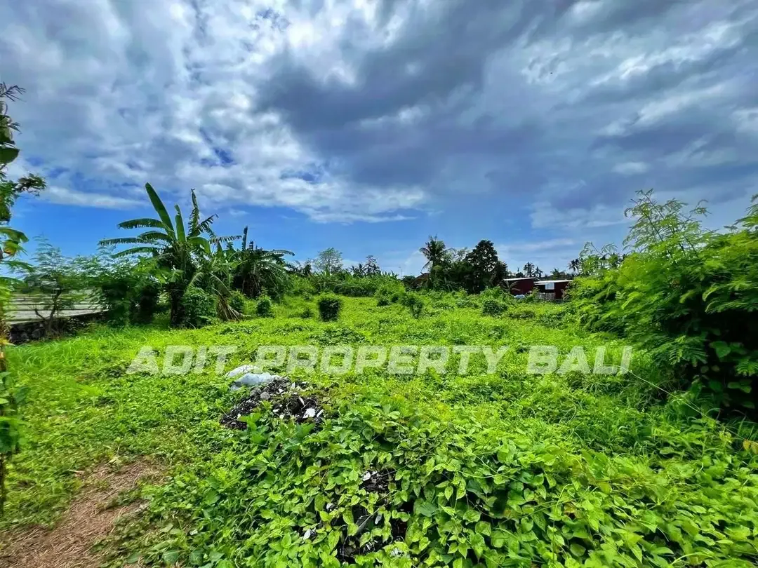 Tanah pangkung tibah kediri tabanan - Image 9 of 10