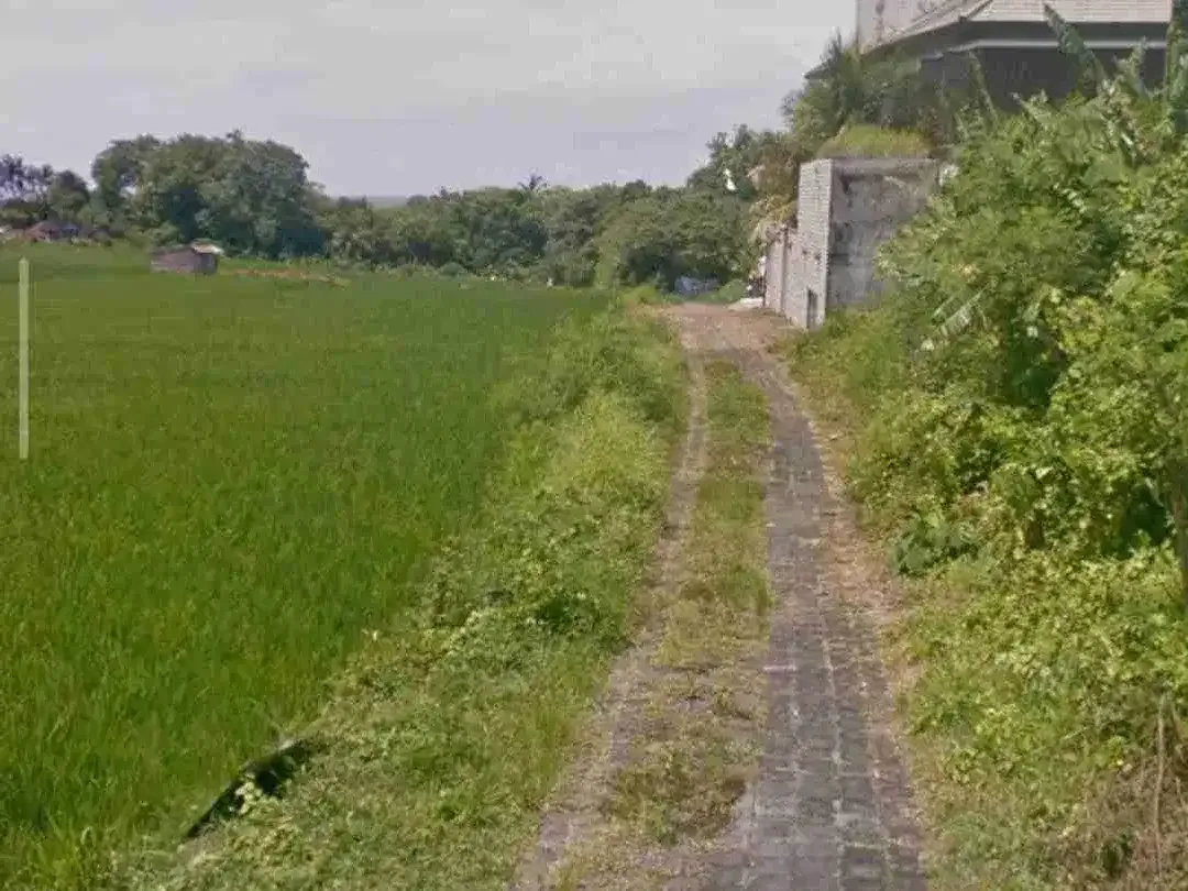 DIJUAL TANAH MURAH CEMAGI - Image 3 of 5