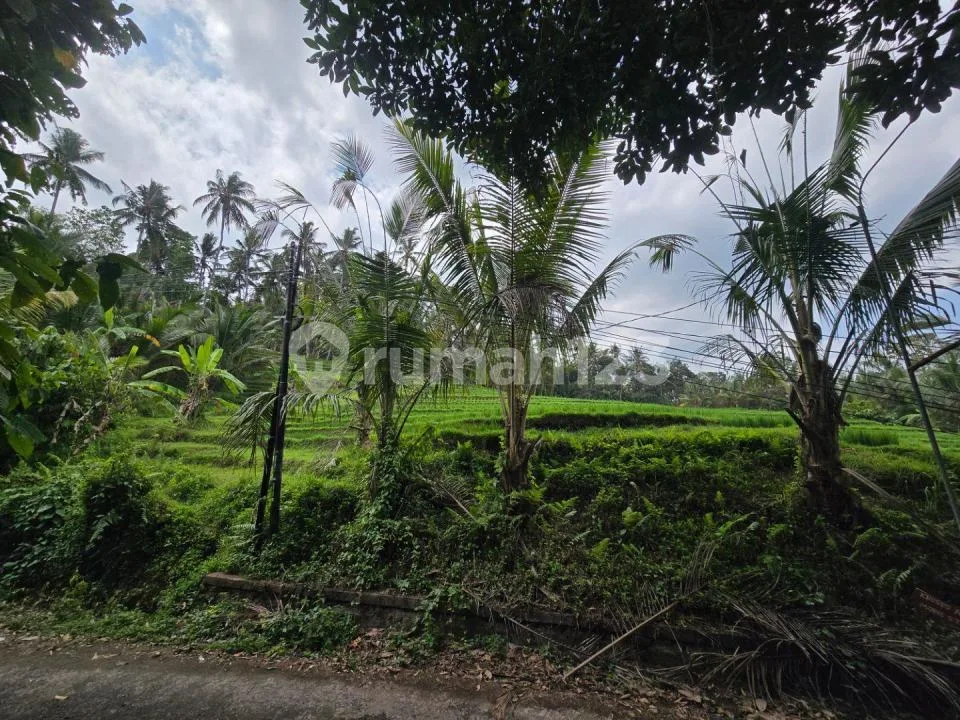 Dijual Tanah Murah Los Sungai Cantik di Tabanan Bali - Image 3 of 4