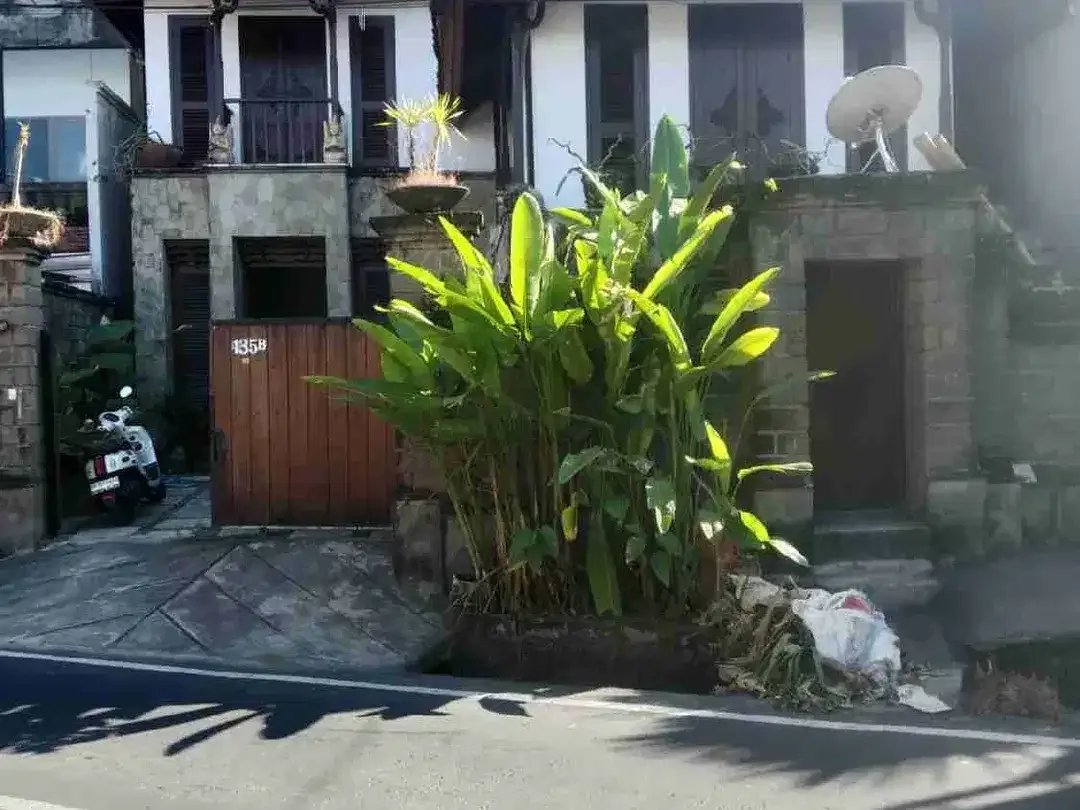 Villa Di Utama Sedap Malam Kesiman Dekat Renon Sanur Hangtuah Waribang - Image 1 of 10