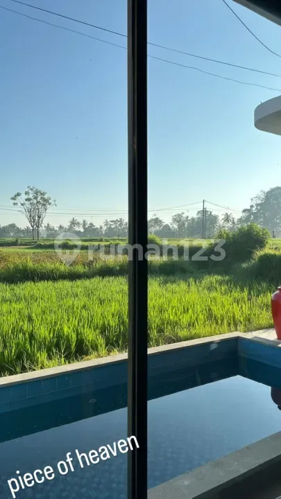 For Rent Villa Rice Field View Bud Gianyar 2 Bedroom N The Middle Of A Large Rice Field, Rice Field View Sayan 10 Menutes From Central Ubud Gianyar, Mongkey Forest Dikontrakkan Villa di Ubud 12 Menit - Image 4 of 4