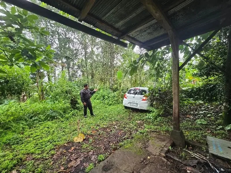 Dijual tanah kebun durian di tabanan bali - Image 3 of 8