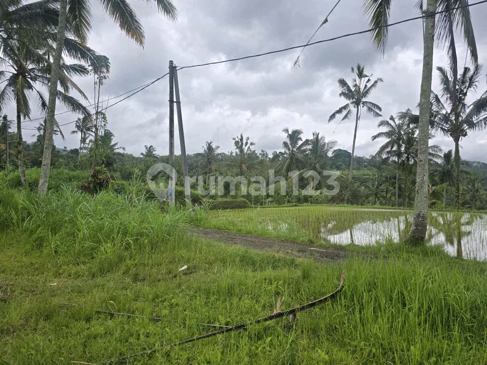 Dijual Tanah Bonus Bangunan View Sawah dan Gunung di Bali - Image 3 of 4