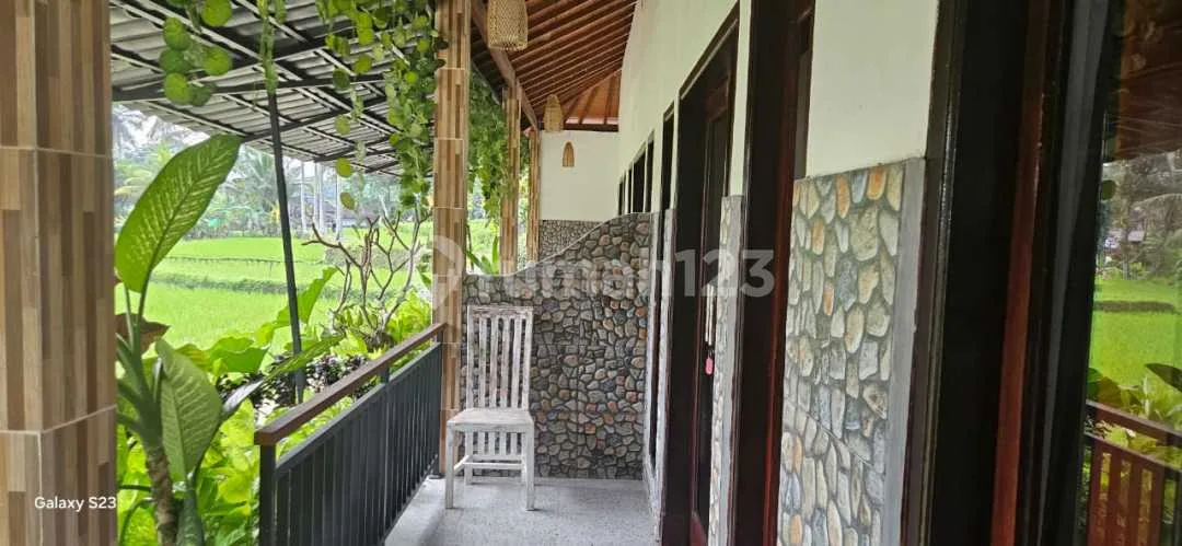 villa good rice view for rent - Image 3 of 4