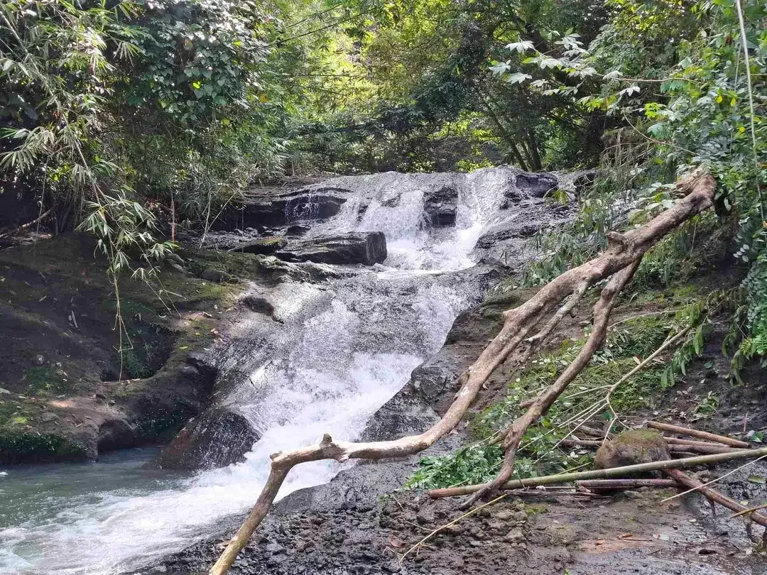 tanah strategis berisi air terjun yang sangat unik di tabanan harga murah - Image 5 of 10