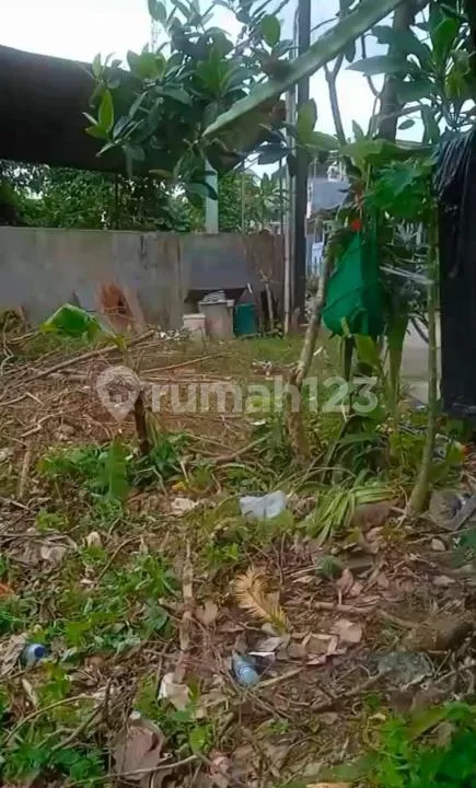 Tanah Zona Kuning Strategis Lokasi Villa Belakang Sungai, Munggu - Image 2 of 4