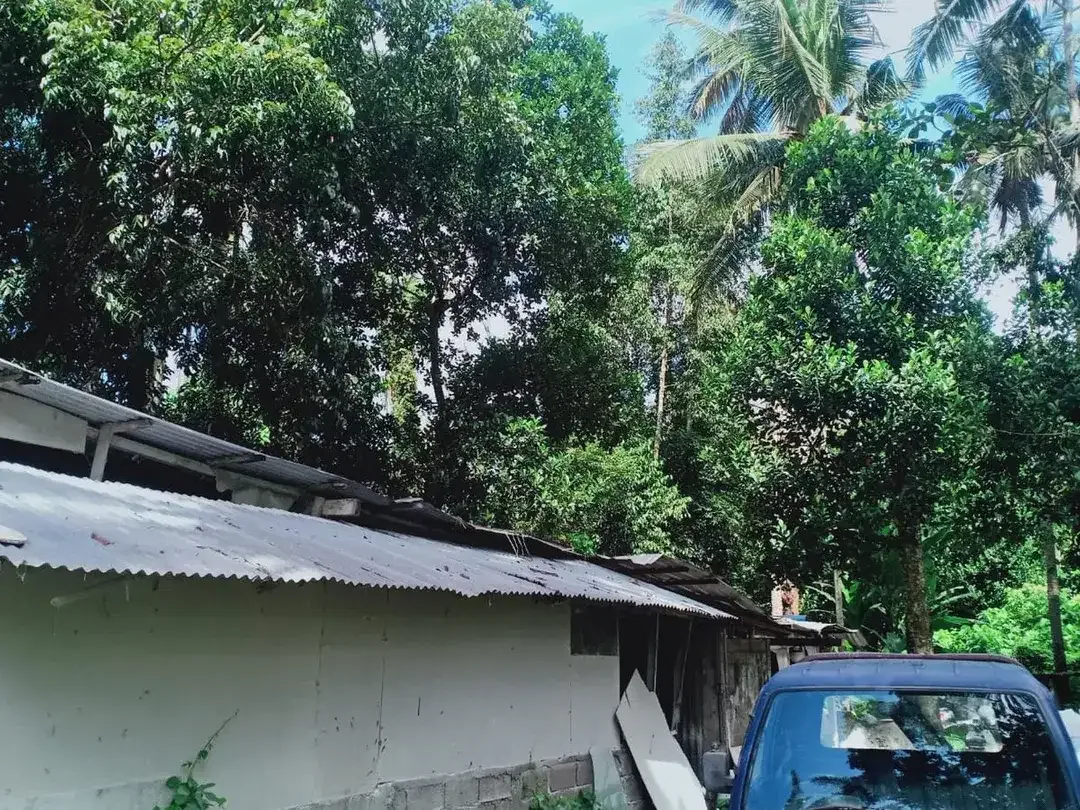 Leasehold - Land Near Kaba-Kaba,Tabanan- Perfect for Villa Development - Image 3 of 6