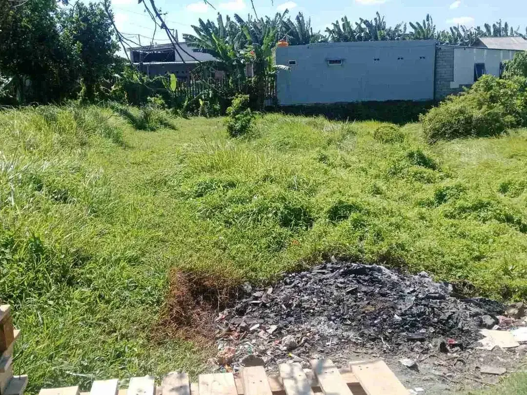 Disewakan Tanah 50a di area Jln Cargo Denpasar Barat Bali - Image 3 of 10