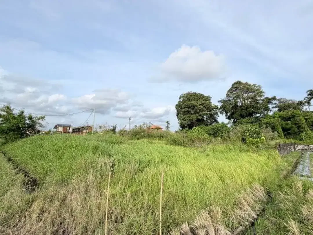 LEASEHOLD TANAH DEKAT PANTAI CEMAGI MENGWI BADUNG - Image 5 of 10