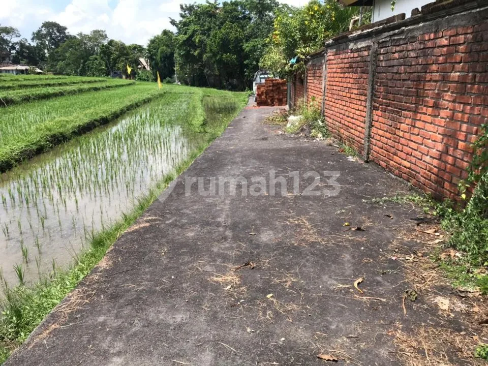 Tanah View Sawah di Umalas 2 Kerobokan Zona Kuning - Image 3 of 4