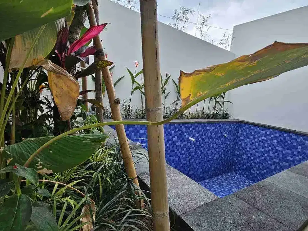 new brand villa dekat pantai kedungu tabanan - Image 2 of 8