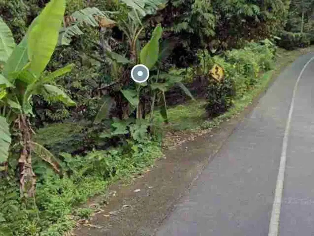 Tanah Potensial Dekat Pantai Dajuma Tabanan - Image 4 of 6