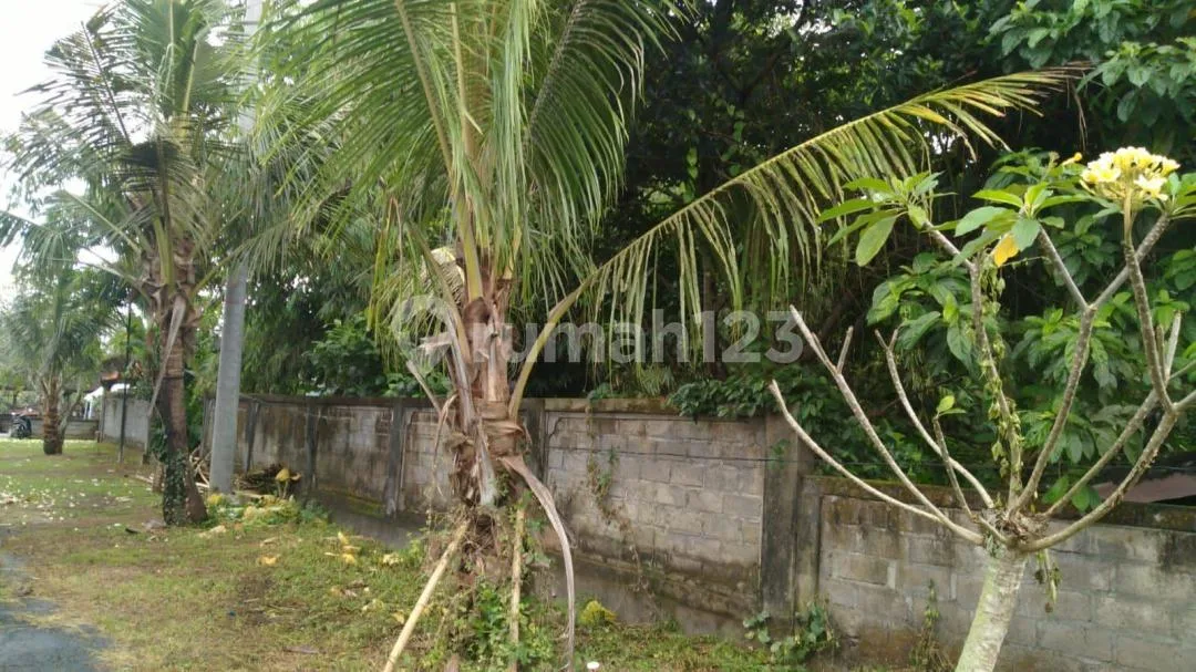 Tanah Murah Kmenuh Selatan Ubud Siap Bangun - Image 3 of 4