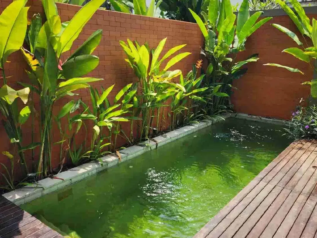 DIJUAL VILLA  FULL FURNISH DI CANGGU CN - Image 6 of 10