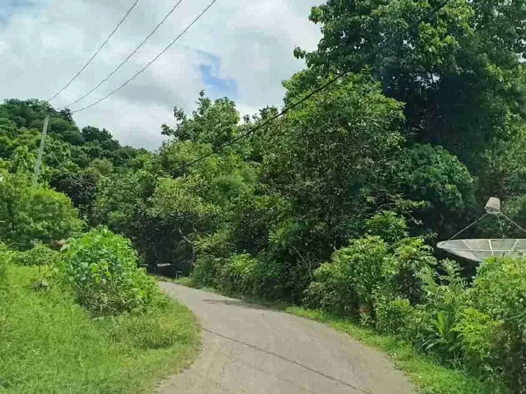 9350 M2 FREEHOLD LAND FOR SALE IN PANGKUNG PARUK SERIRIT BULELENG NORTH BALI - Image 10 of 10