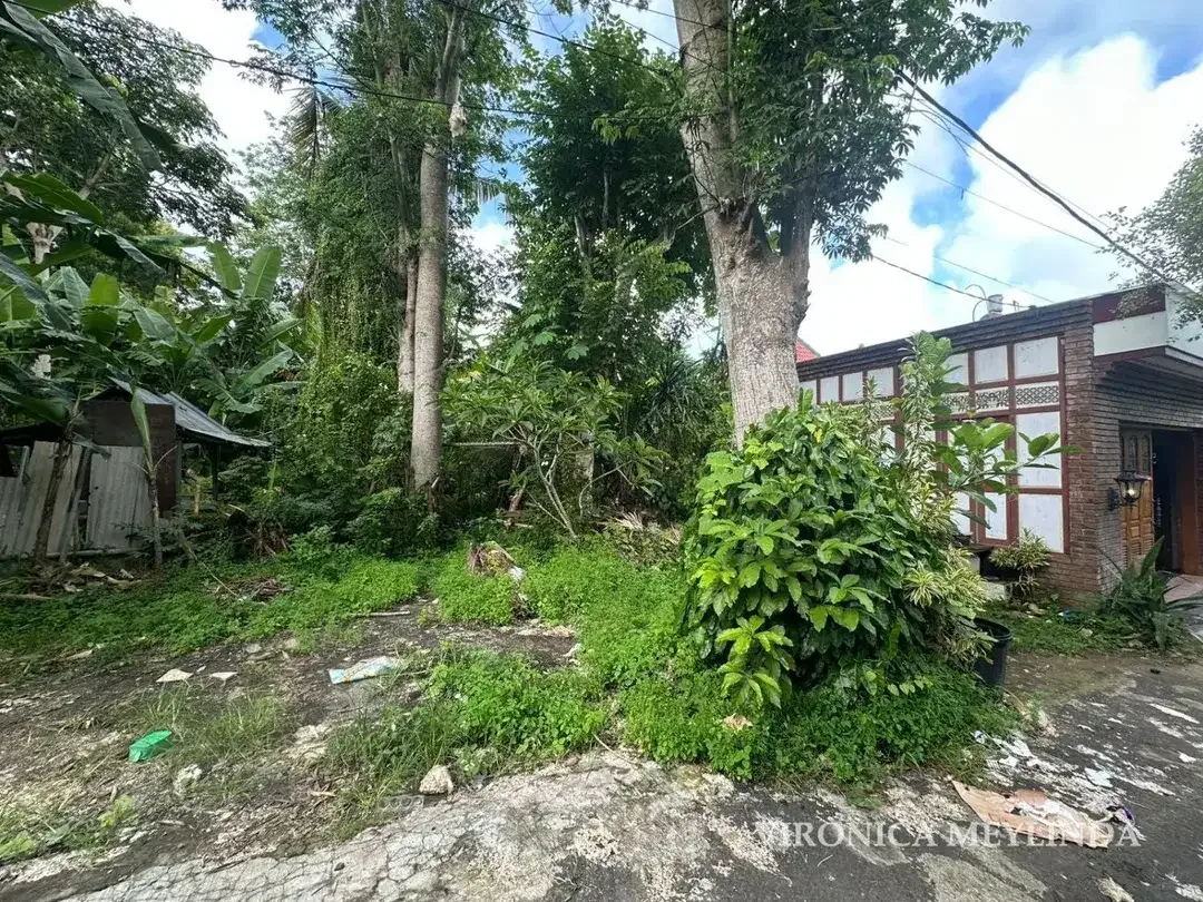 TANAH 5 ARE DIJUAL – AREA PECATU. - Image 4 of 6