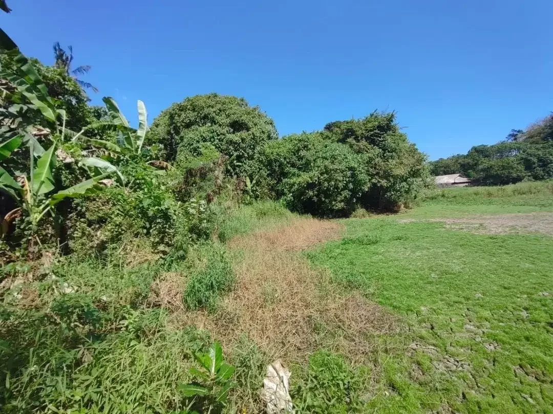 Dijual Tanah Luas 4.415 m2 Dekat Pantai Yeh Gangga Tabanan - Image 3 of 6
