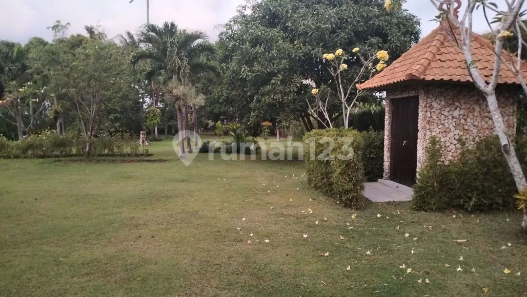 Villa cantik view sawah Pantai Pering Blahbatuh Gianyar Villa - Image 1 of 4