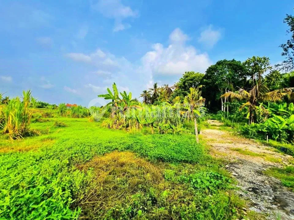 Jual Tanah Indah di Pantai Nyanyi, Tabanan - Image 3 of 4