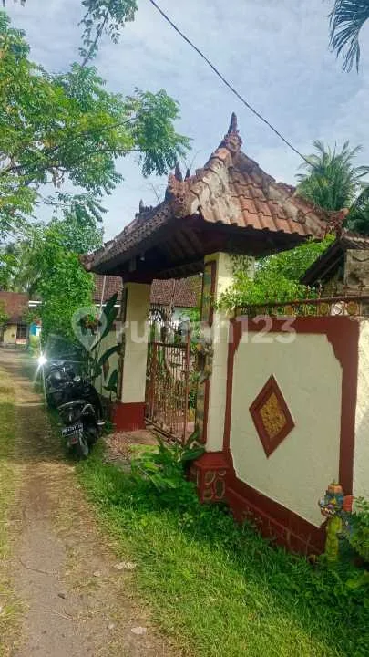For Sale Local House In Lovina Central - Image 1 of 4