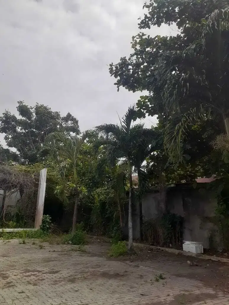 Dijual Tanah Di Jalan Utama Bypass Ngurah Rai Sanur - Image 4 of 7