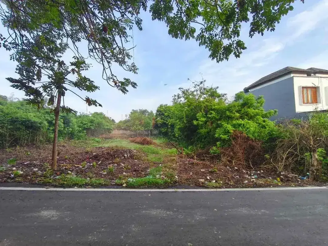 Tanah Murah Strategis di Kampial Nusa Dua - Image 2 of 8