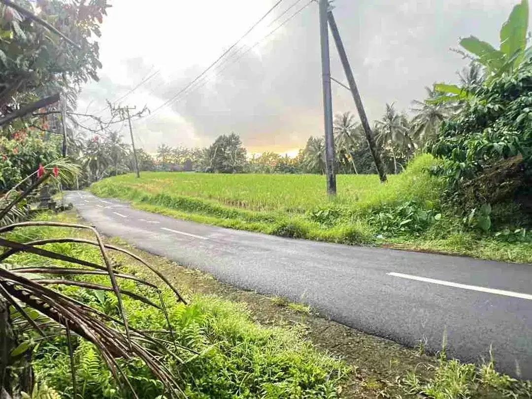 jual tanah luasan kecil view sawah area pemukiman di wanagiri selemadeg tabanan bali. - Image 6 of 10
