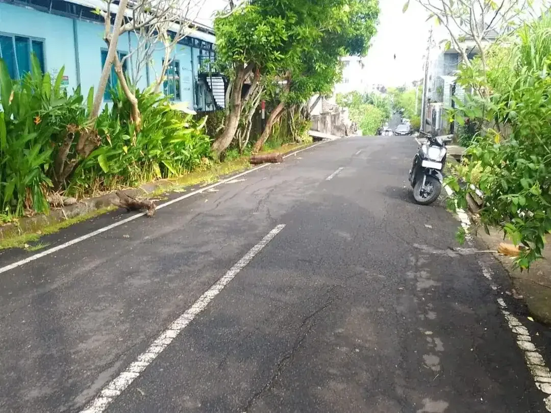Gudang siap pakai Disewakan di Denpasar Barat. - Image 1 of 5