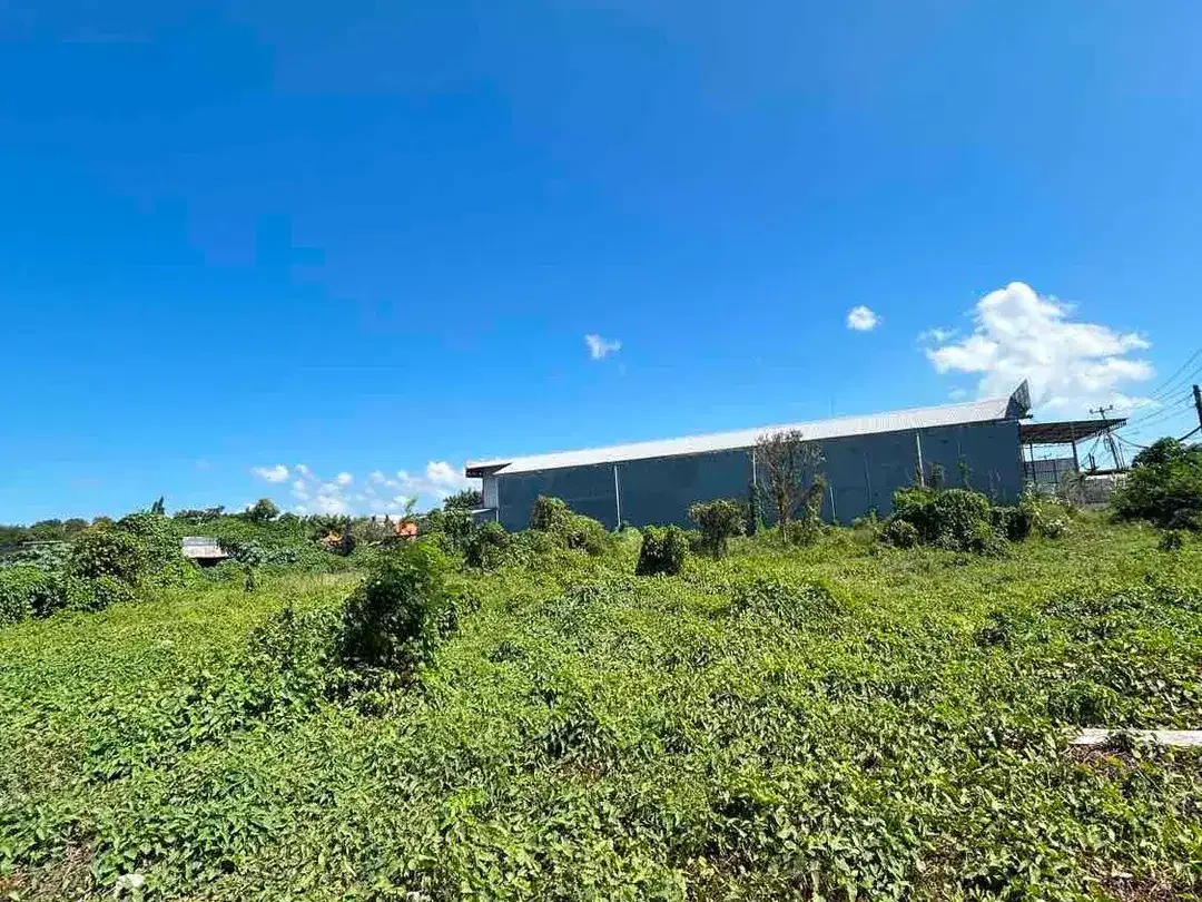 LAND 42.7ARE IN MAIN ROAD BYPASS SANUR - Image 3 of 4