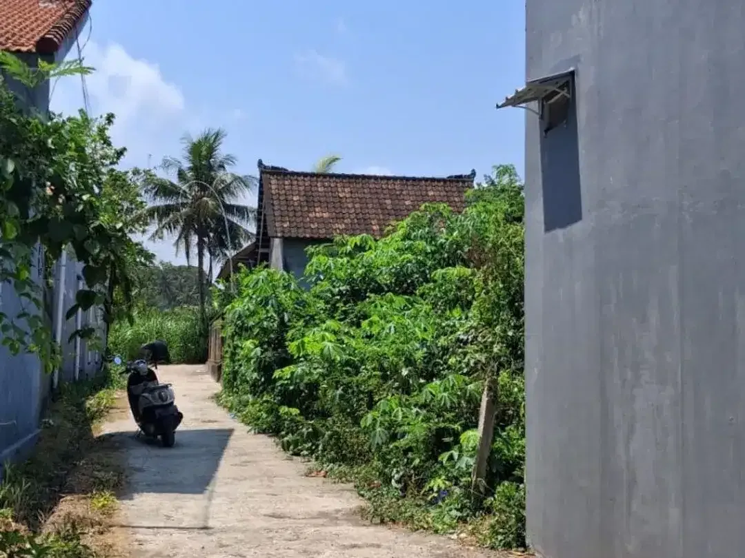 Tanah Siap Bangun Free Pajak Pembelian Serongga Gianyar Bali - Image 5 of 6