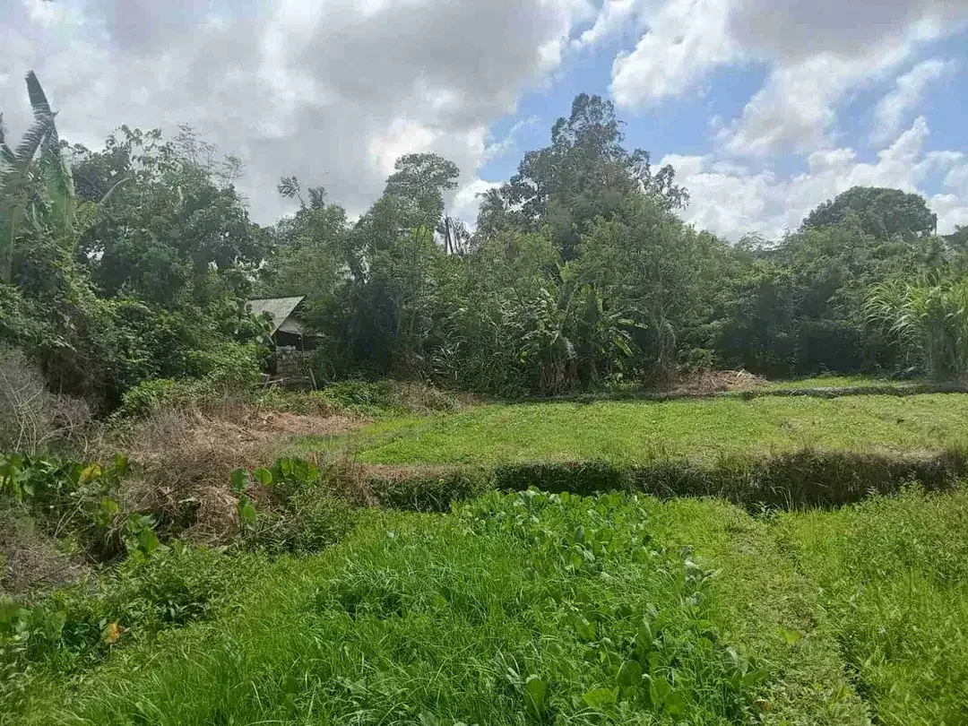 DIJUAL / FREEHOLD : Tanah Premium Ocean View, Paddie View, Lingkungan Ciputra Resort, Pantai Pangkung Tibah, Kediri, Tabanan, Bali - Image 10 of 10