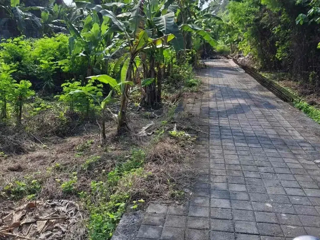 for  freehold or leasehold 
Located on Jalan Camplung tanduk 
GANG bunga kecil Seminyak - Image 4 of 9