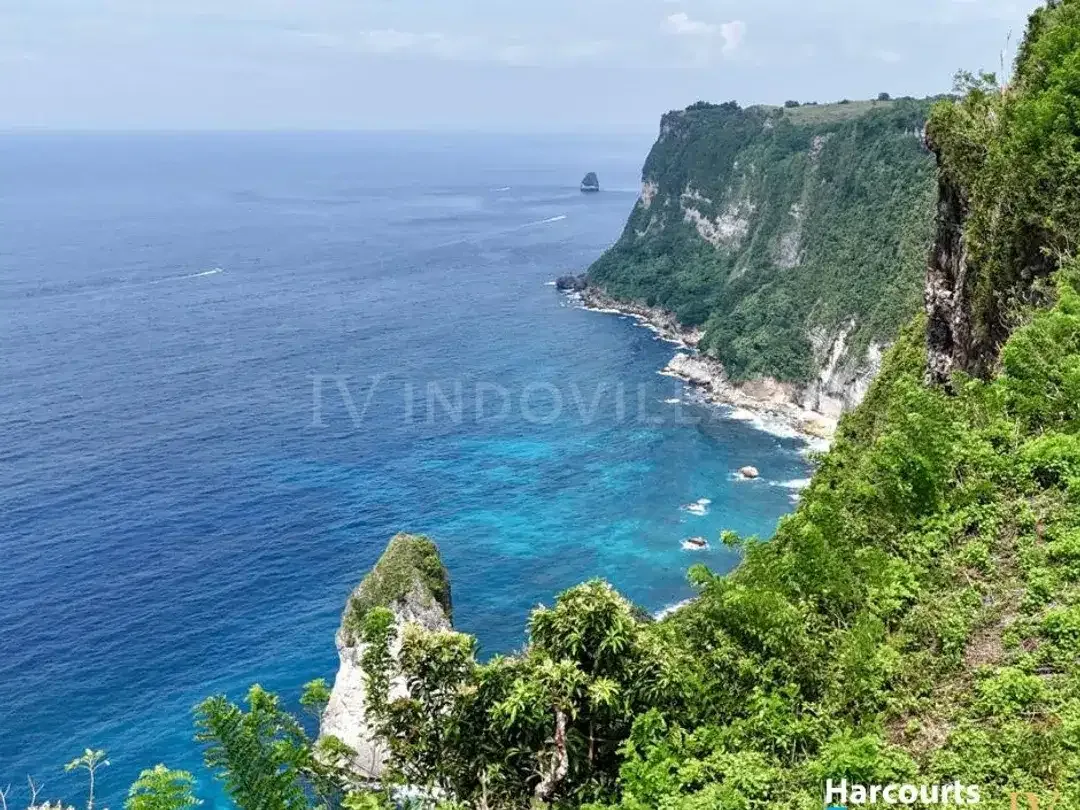 CLIFF-FRONT LAND DENGAN PANORAMA NUSA PENIDA YANG LUAR BIASA - TANAH, HAK SEWA - Image 5 of 8