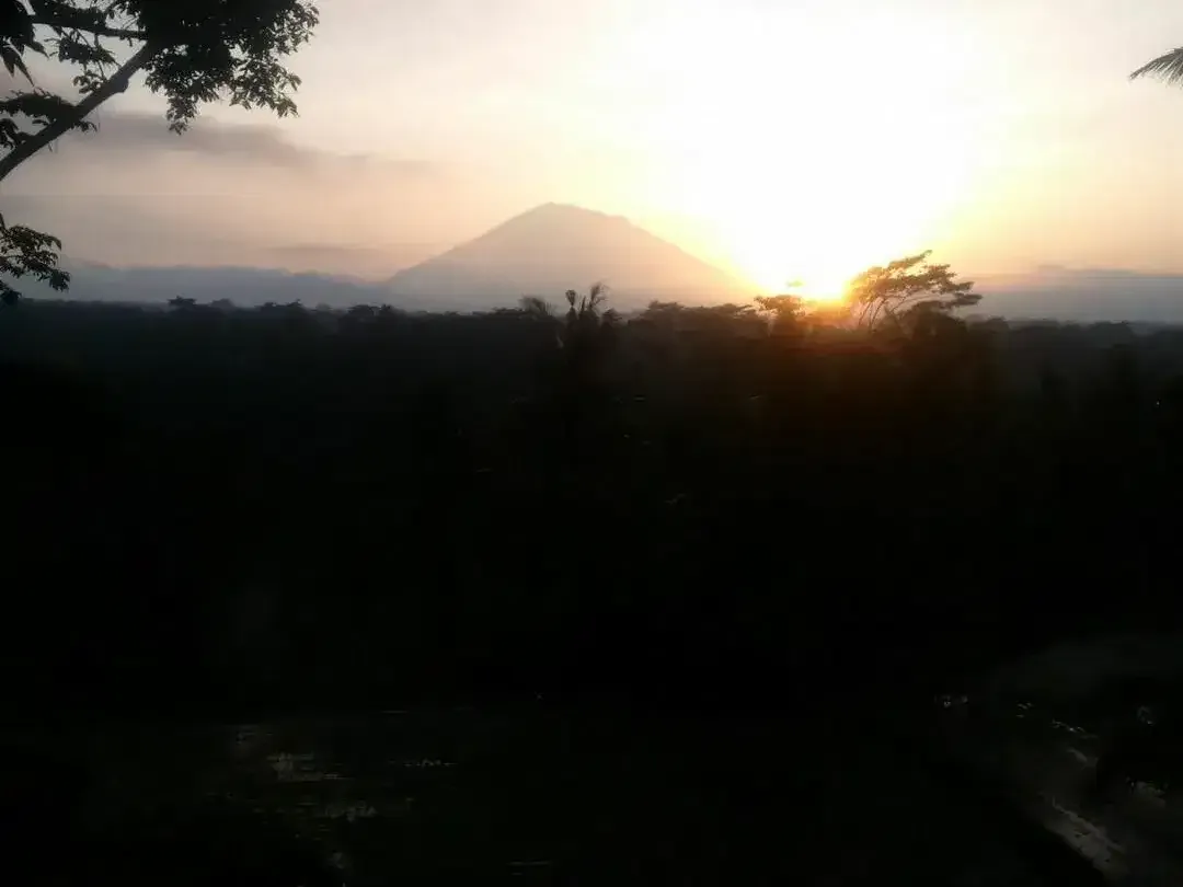 Tanah 2.549 m² Dijual di Tampaksiring, Tegallalang, Gianyar - Image 7 of 10