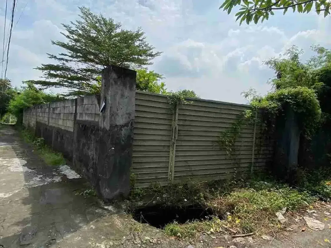 Dijual Tanah Murah di Canggu - Image 2 of 10