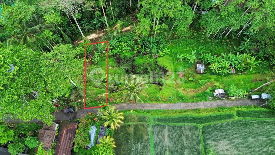 Di Jual Tanah View Sawah Gunung dan Lembah Lokasi Ubud - Image 2 of 4