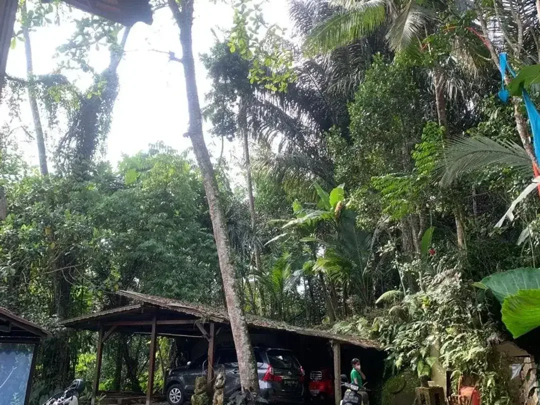 Land for sale in Ubud, Bali - Image 5 of 5