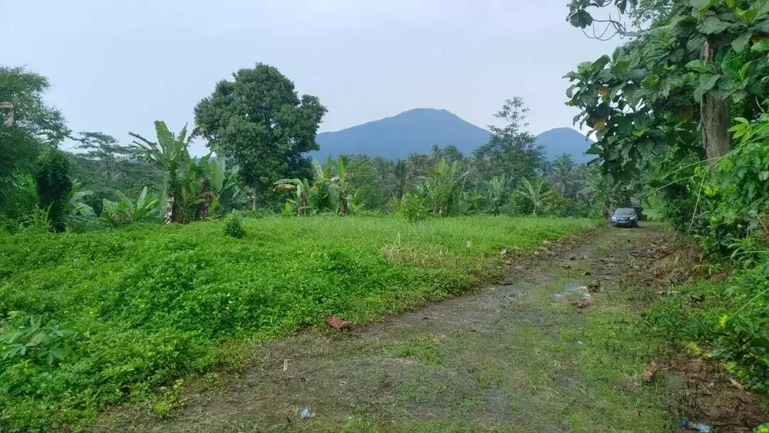BUC TANAH VIEW GUNUNG, SAWAH DAN SUNGAI TABANAN - Image 2 of 10