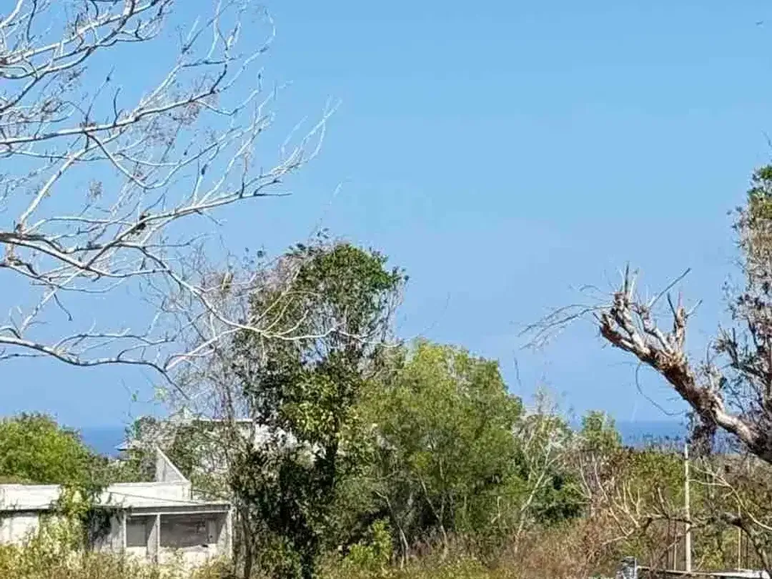 Dijual Tanah Ocean View 2,42 Hektar – Jl Ocean Blue, Kampial Nusa Dua Bali - Image 2 of 10