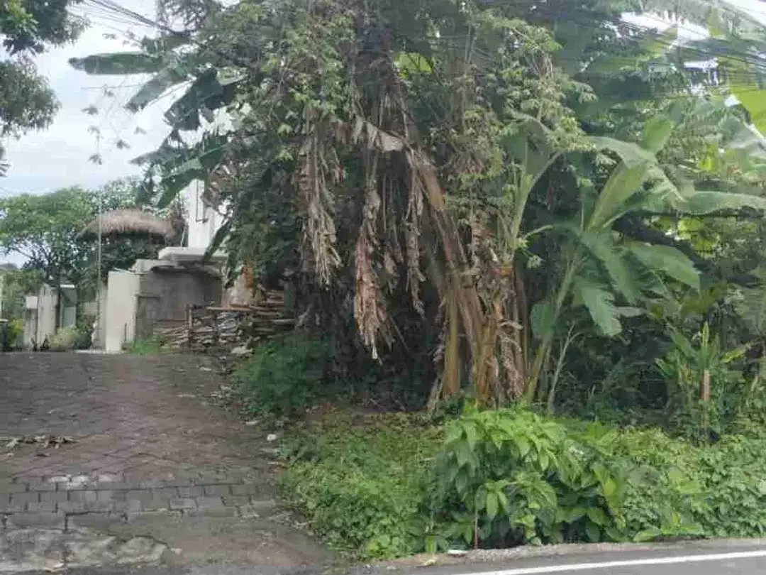 Tanah Komersial Jalan Utama Tumbak Bayuh Canggu - Image 6 of 6