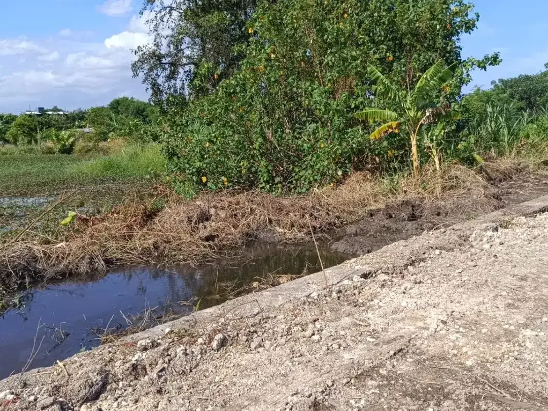 Dijual Tanah 5 Are di Area Padang Galak, Sanur. - Image 3 of 9