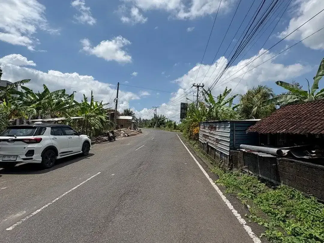 Tanah Strategis 6,31 Are Dijual di Kedungu - Cocok untuk Investasi - Image 4 of 5