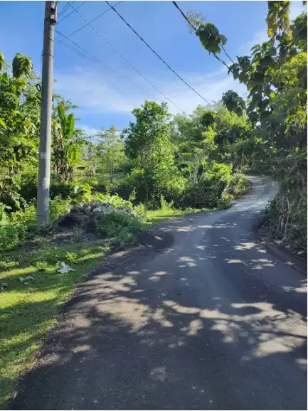 Land for sale at Pecatu - Image 4 of 10