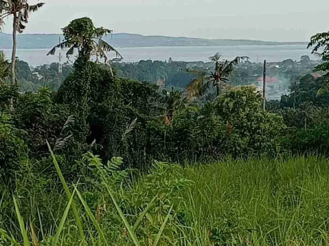 Freehold Land For Sale In Cegeng, Sidemen – Karangasem - Image 7 of 9